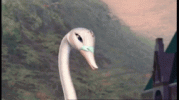 IMG_3584.gif