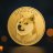 Dogecoin GC