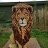 thelionsden123