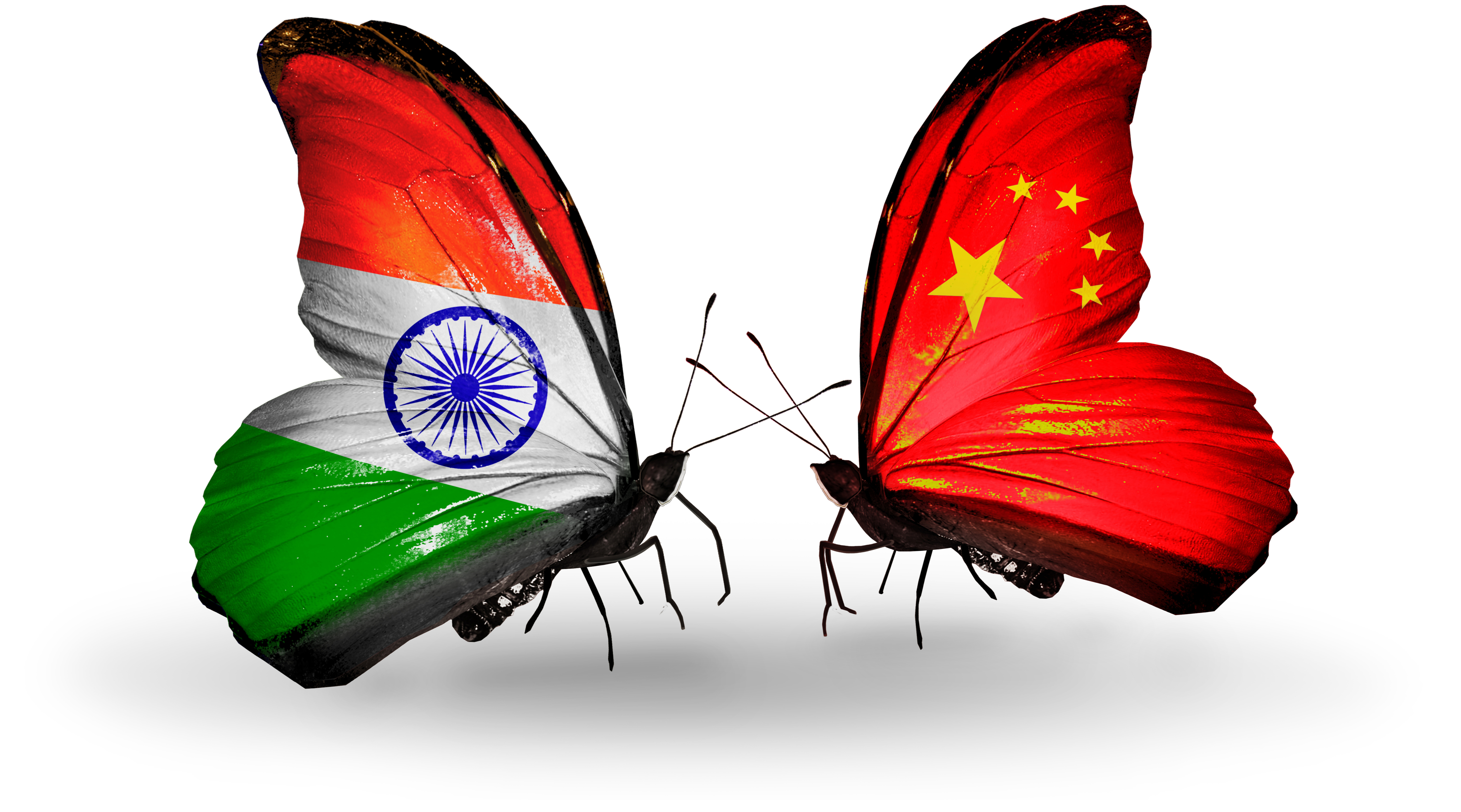 China India butterfly to signal good relations in trade